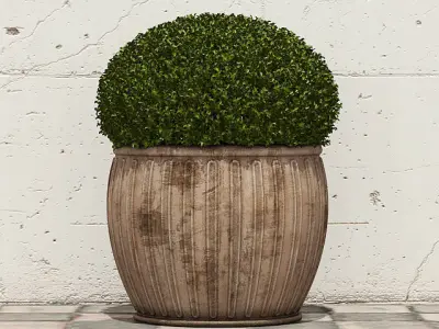 Plant four potted plants on shelf 3D model