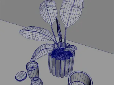 Decorationset Plant 3D model