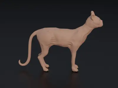 Sphynx Cat Low-poly 3D model