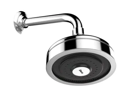 Deca Shower Curved Pipe 3D model