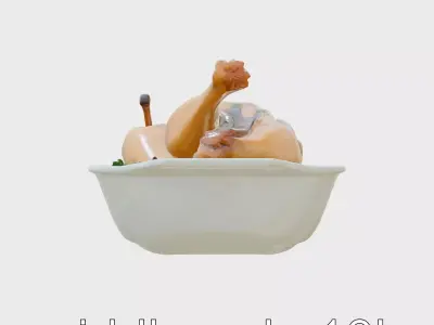 Gourmet Coq au Vin Dish 3D Model Low-poly 3D model