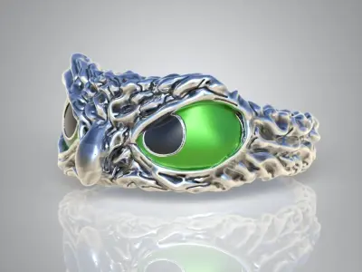 Owl Ring  3D printable model 0244 3D print model