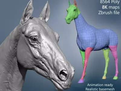 Realistic Horse Basemesh with LOD s 3D model