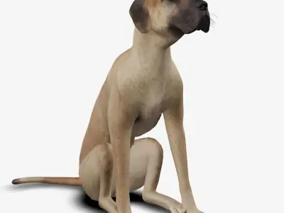 Dog german mastif Low-poly 3D model