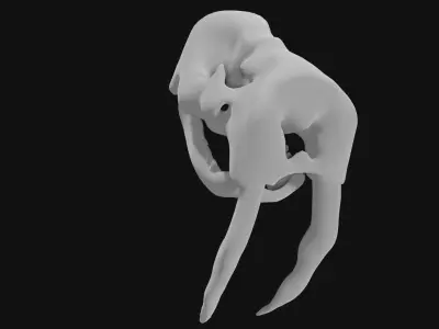 Walrus skull of walrus skeleton Low-poly 3D model