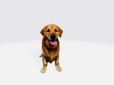 Realistic Golden Retriever 3D Model - Ready for Printing Low-poly 3D model