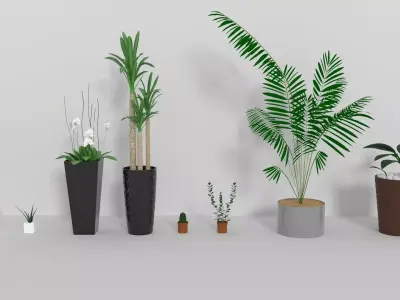 Indoor Decorative Plants Collection 3D model