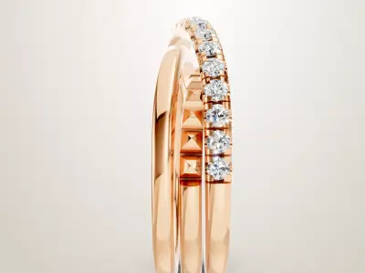 Golden Ring 3D print model