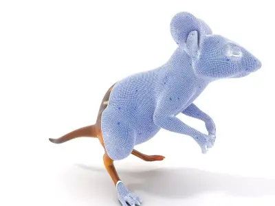 Playful Jerboa Creature model pack Low-poly 3D model