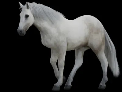 White Horse Low Poly Game-Ready PBR Rigged Animated Low-poly 3D model