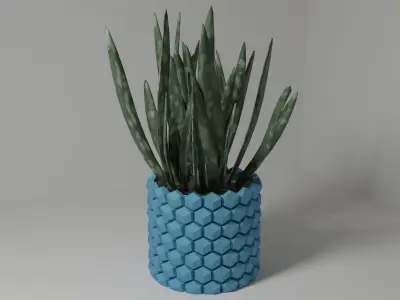 Hexagon flower pot 3D print model