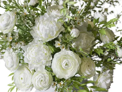 Flower Set 086 ranunculus 3D model