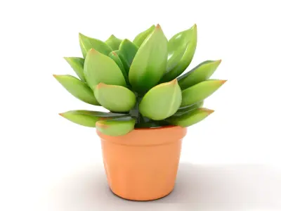 Vibrant Green Succulent model pack Low-poly 3D model