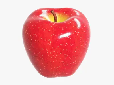 Realistic Red Apple 3D model