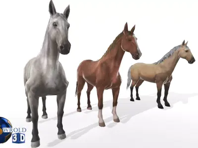 Gameready Horse Rigged Animated Lowpoly 3D Model Low-poly 3D model