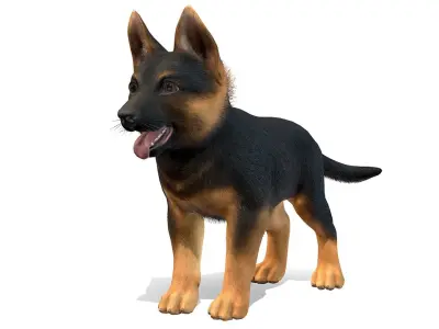 Puppy - Shephed Low-poly 3D model