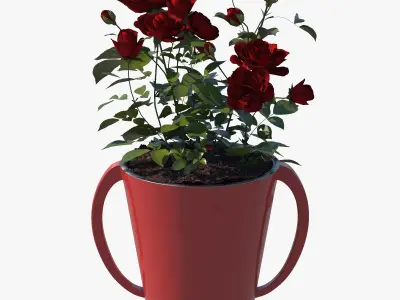 Red Rose Pot 3D model