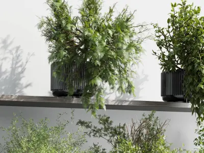 wall plant - set Indoor plant 433 plants on shelf Low-poly 3D model