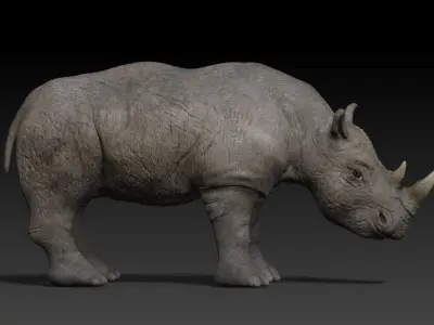Rigged Rhino Low-poly 3D model