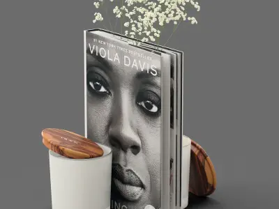 Decor flower Gypsophila books candle Set 45 3D model