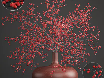 Decorative bouquet of branches with red berries in a vase 97 3D model