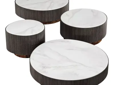 gallotti and radice nori 3D model