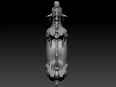 Indian Bull 3D model