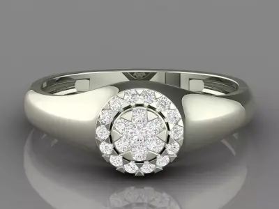 PRESSURE SETTING RING 05 3D print model