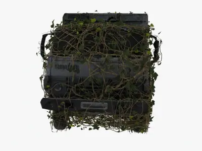 Ruined truck coved with ivy 3D model