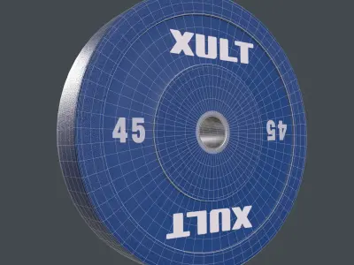 45lb Bumper Plate 3D model
