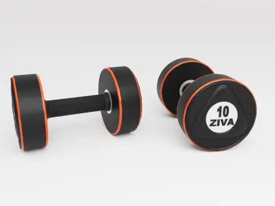 Dumbbells two 3D model