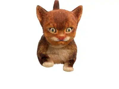 Fur Cute Red Cat Kitten Animated Low-poly 3D model