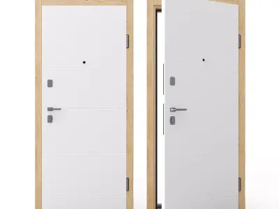 Vary Door 3D model
