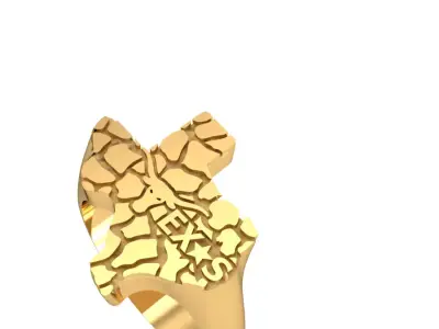 Texas ring 3D print model