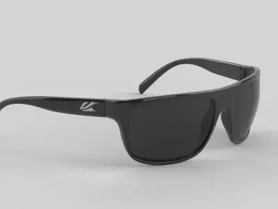 Silverwood Eyewear Glasses Low-poly 3D model