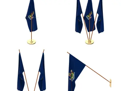 Maine Flag Pack 3D model