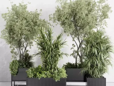 metal box plants on stand - set indoor plant 425 Low-poly 3D model