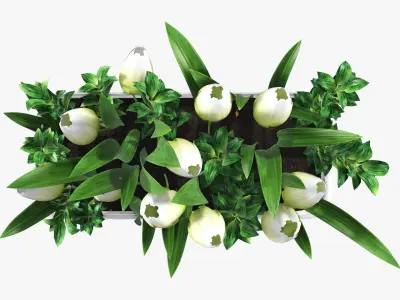 Tulips in bathtub composition 3D model