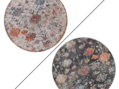Round Rug Set 41 3D model