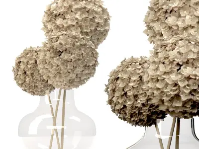 Dry Flowers Set -09 3D model