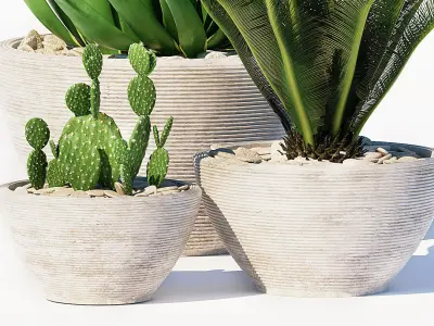 plants set 150 3D model