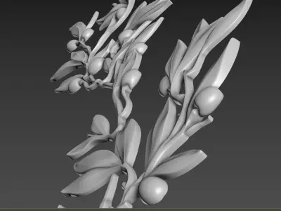 Olive Branch 3D model
