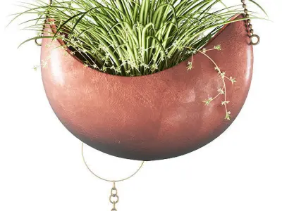Hanging plants 143 3D model