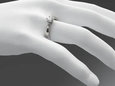 Engagement Ring Princes 3D print model