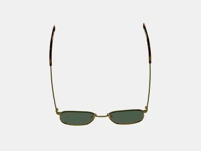 Blount Sunglasses in Polished Gold 3D model