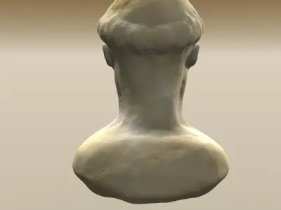 Bearded Man Bust 3D model