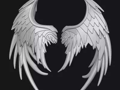 Wings 3D print model