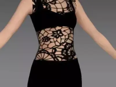 LACE FABRIC BLACK BLOUSE ANDPANT TWO PIECES DRESS 3D model