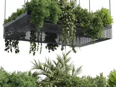 hanging plants - indoor plant set 447 Rectangle pendant pot 3D model