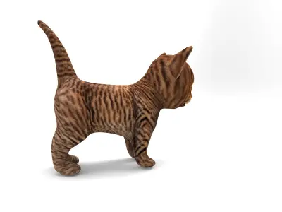 3D Cartoon Cat Animated Model Low-poly 3D model